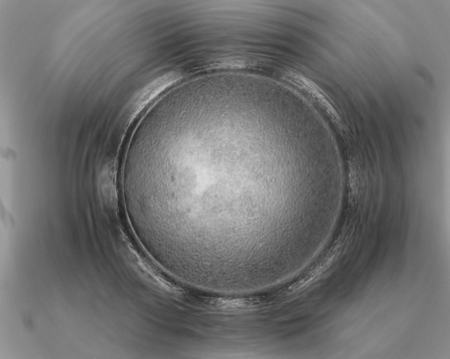 X0000091100794200708061419