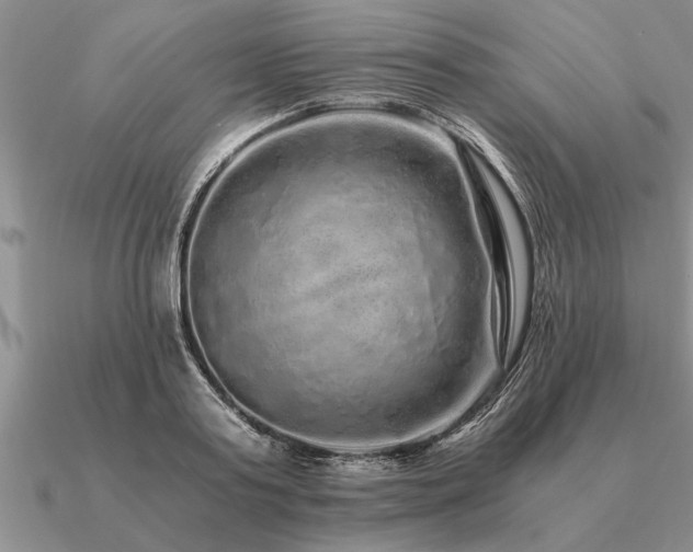 X0000091100795200708061419