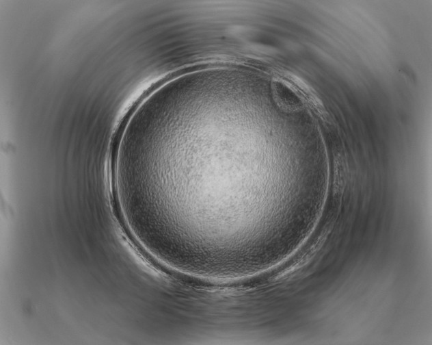 X0000091100796200708061419