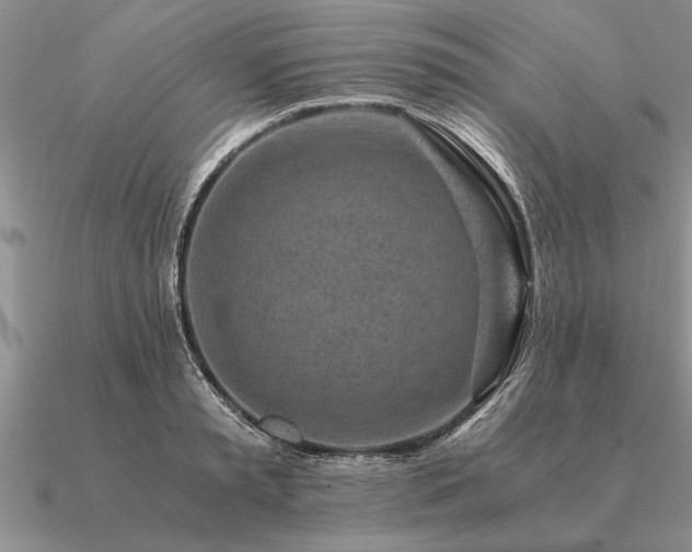 X0000091100797200708061419