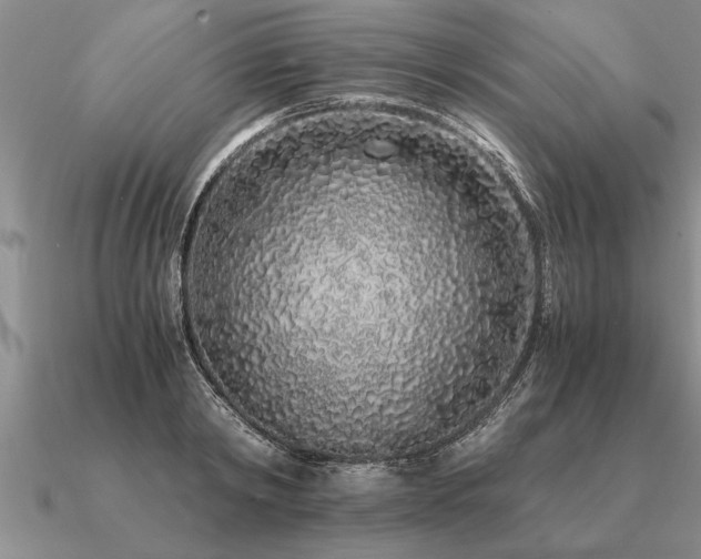 X0000091100798200708061419