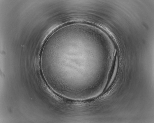 X0000091100799200708061419