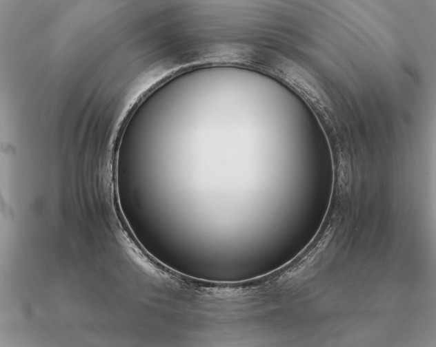 X0000091100800200708061418