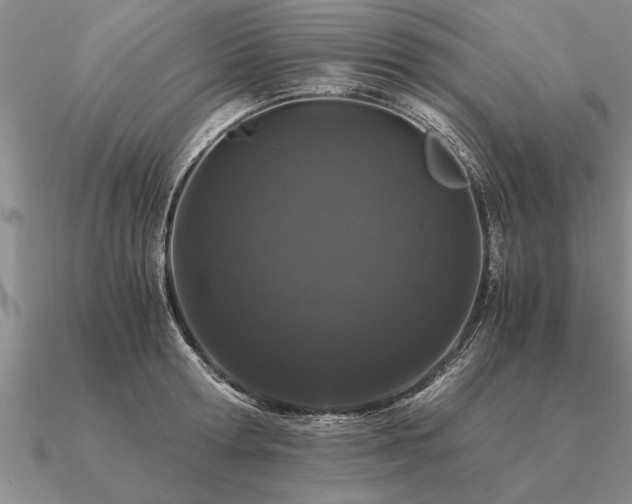 X0000091100802200708061418