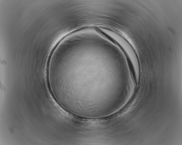 X0000091100803200708061418