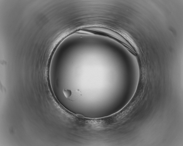 X0000091100805200708061418