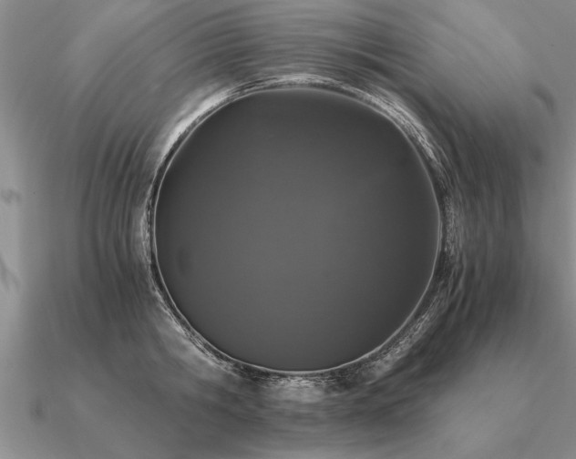 X0000091100806200708061418