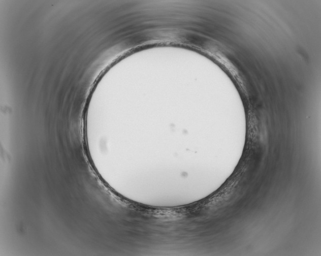 X0000091100807200708061418