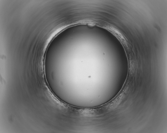 X0000091100808200708061418