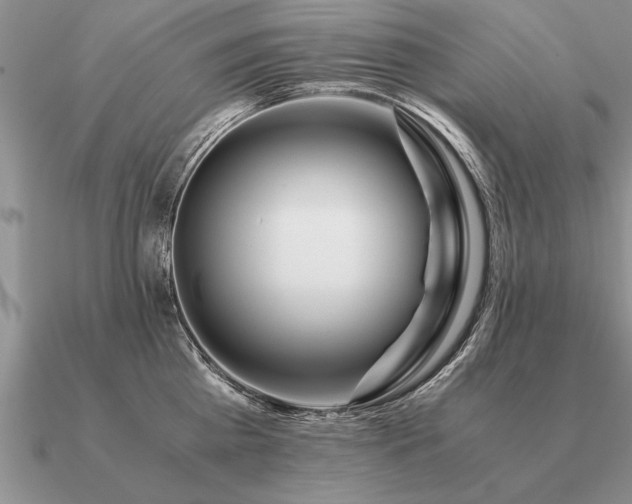 X0000091100809200708061418