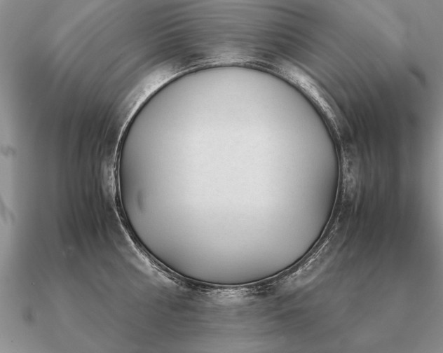 X0000091100810200708061418