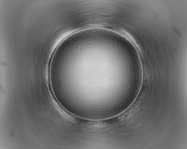 X0000091100811200708061418