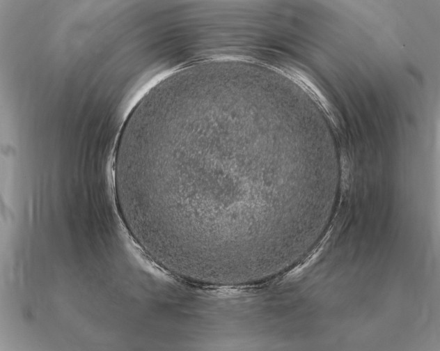 X0000091100814200708061418