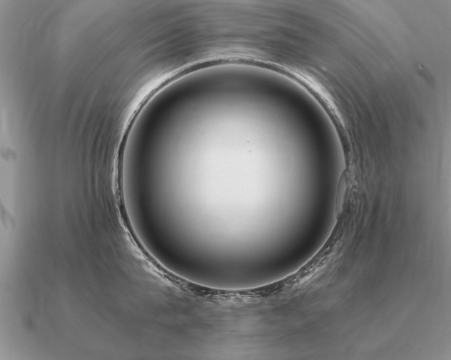 X0000091100815200708061418