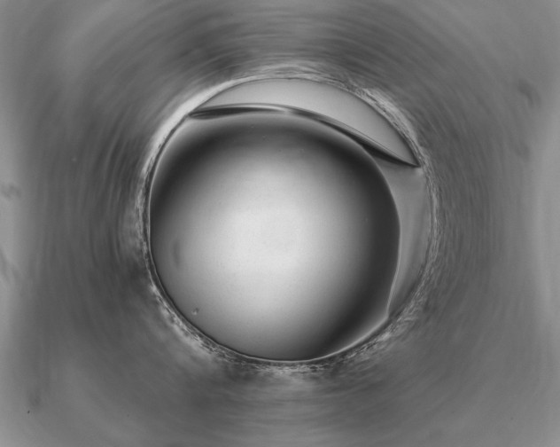 X0000091100816200708061418