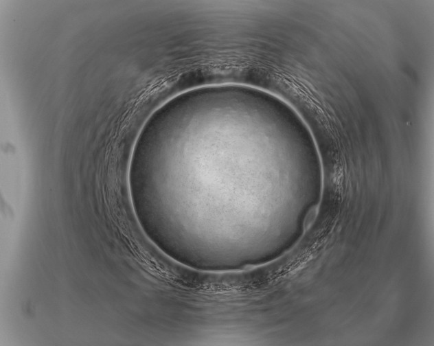 X0000091100817200708061418