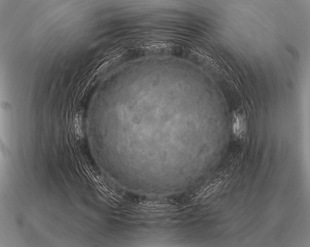 X0000091100819200708061418