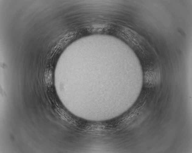 X0000091100820200708061418