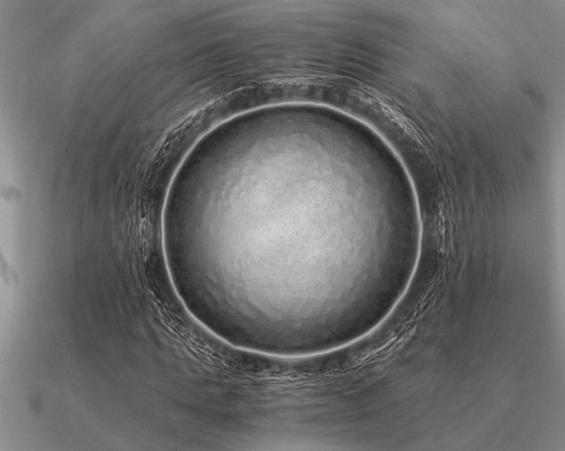 X0000091100821200708061418