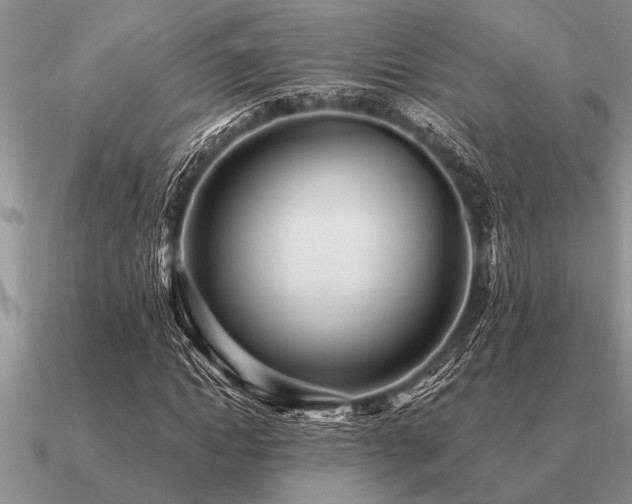 X0000091100822200708061418