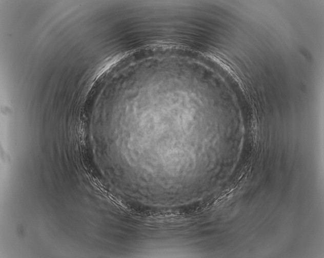 X0000091100823200708061418