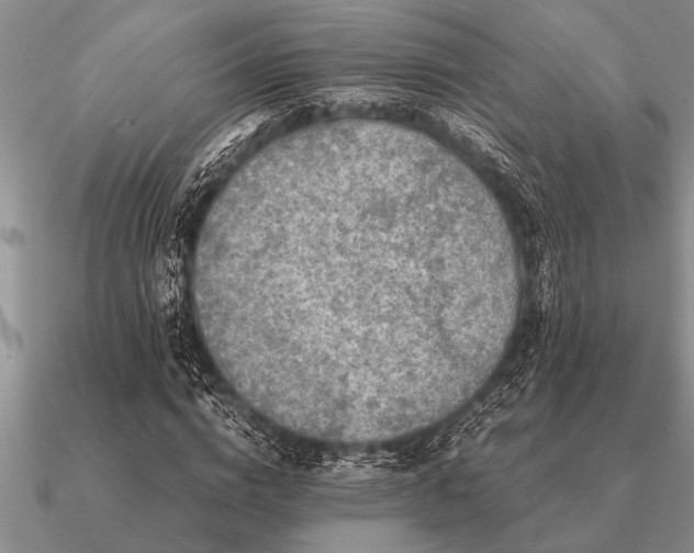 X0000091100824200708061418