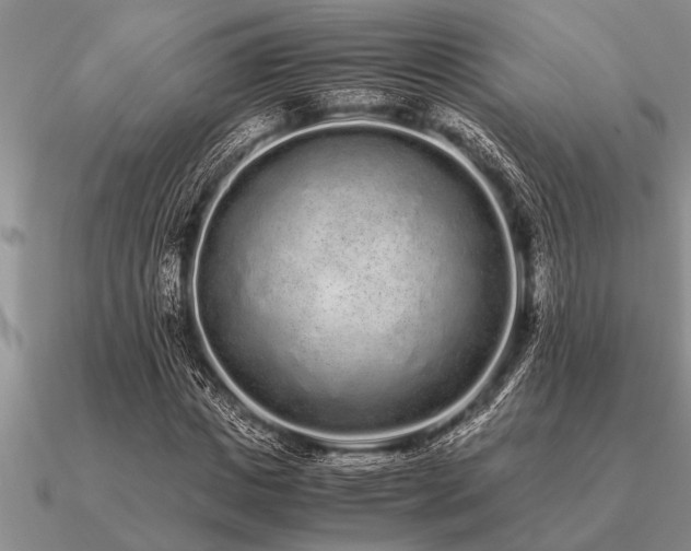 X0000091100825200708061418