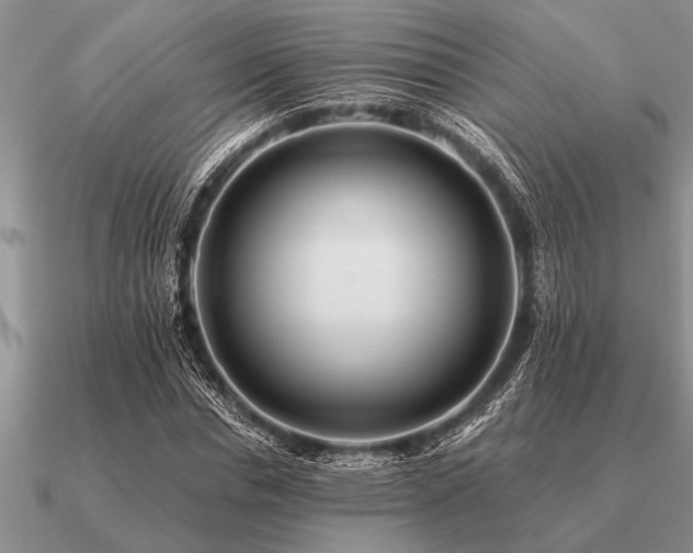 X0000091100826200708061418