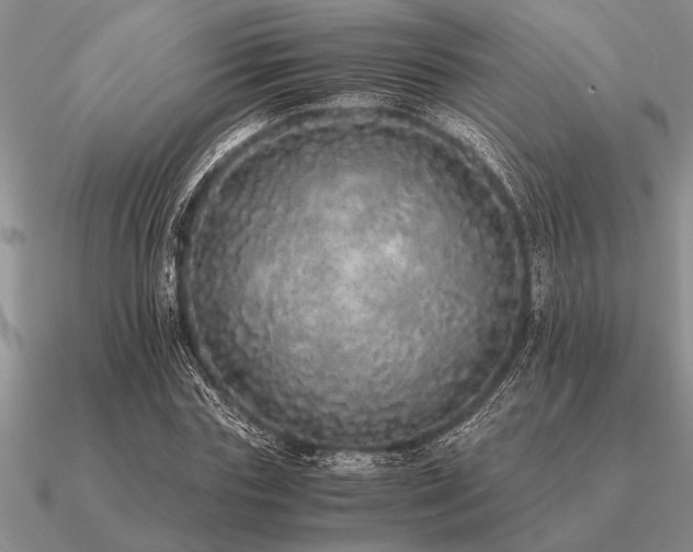 X0000091100827200708061418