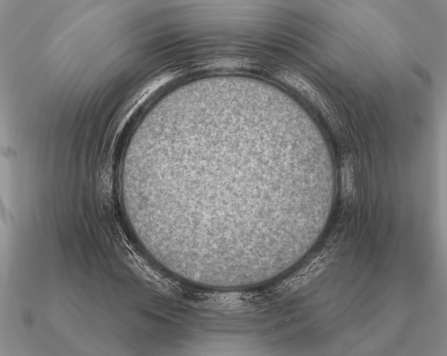 X0000091100828200708061418