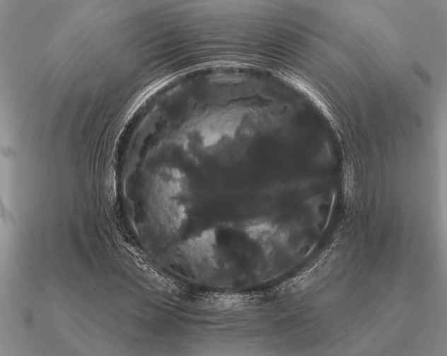 X0000091100829200708061418