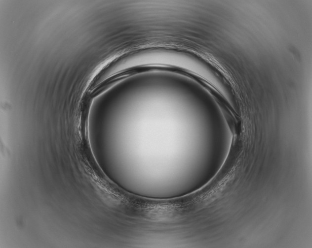 X0000091100830200708061418