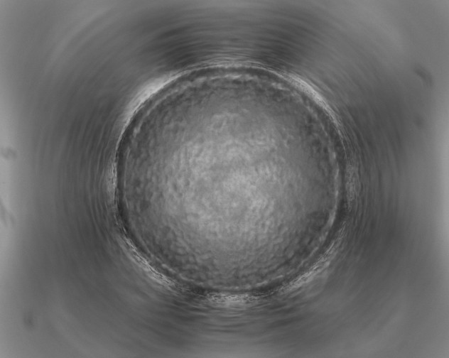 X0000091100831200708061418