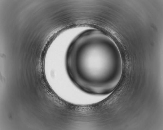 X0000091100832200708061418