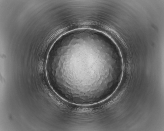 X0000091100833200708061418