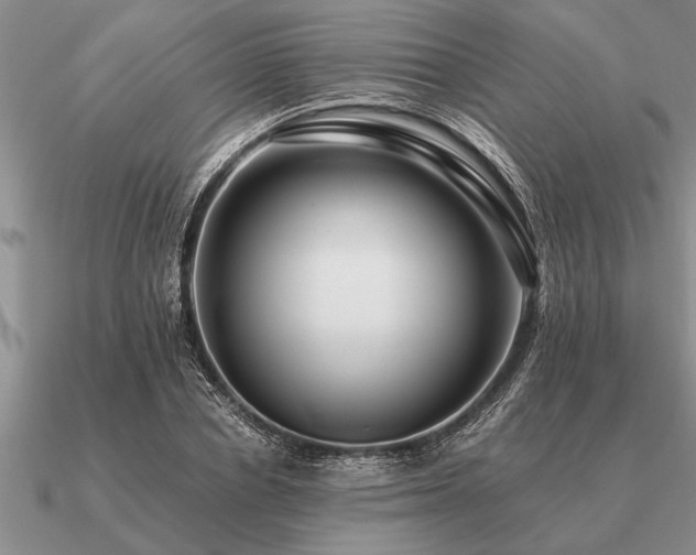 X0000091100834200708061418