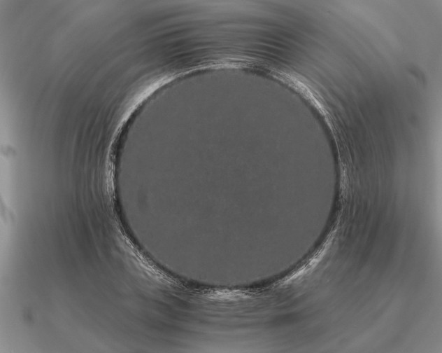 X0000091100835200708061418