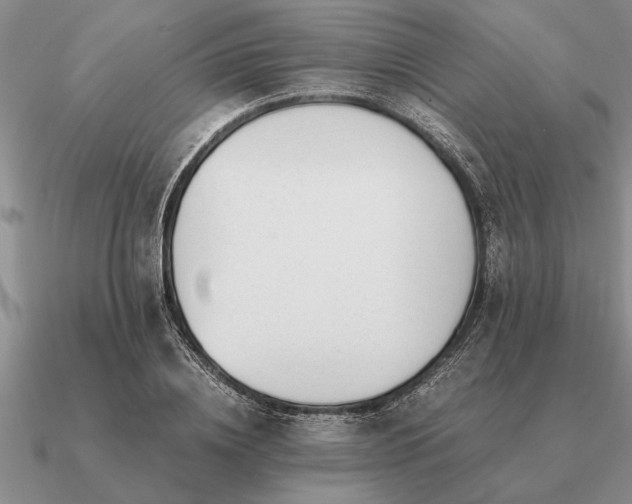 X0000091100836200708061418