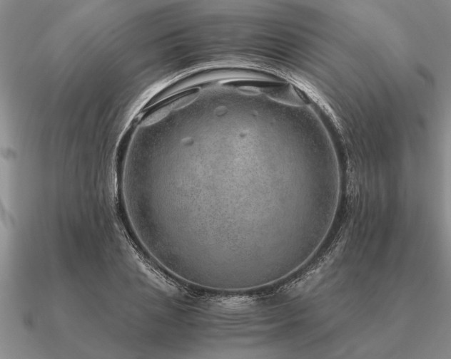 X0000091100837200708061418