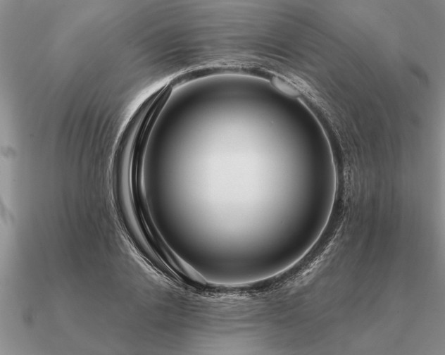 X0000091100838200708061418