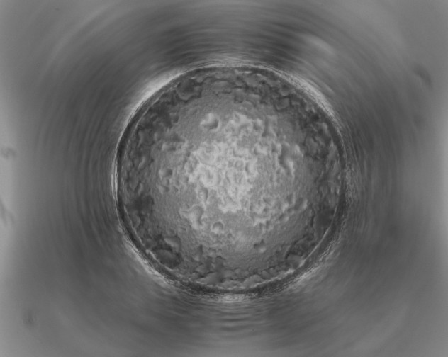 X0000091100839200708061418