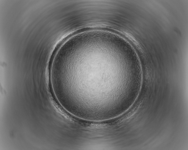 X0000091100840200708061418