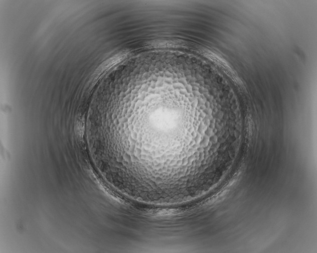 X0000091100841200708061418