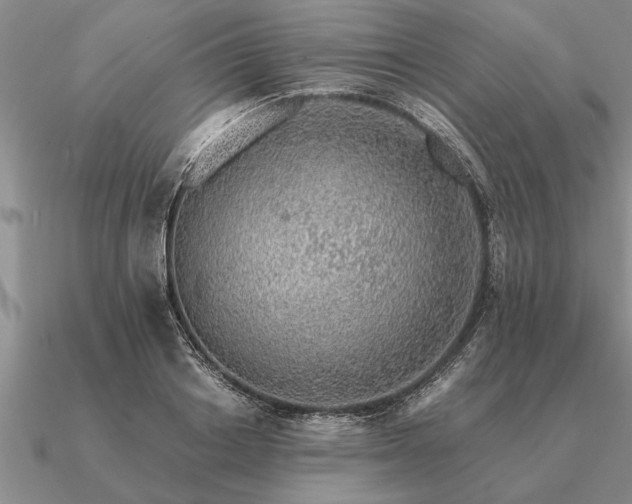 X0000091100842200708061418