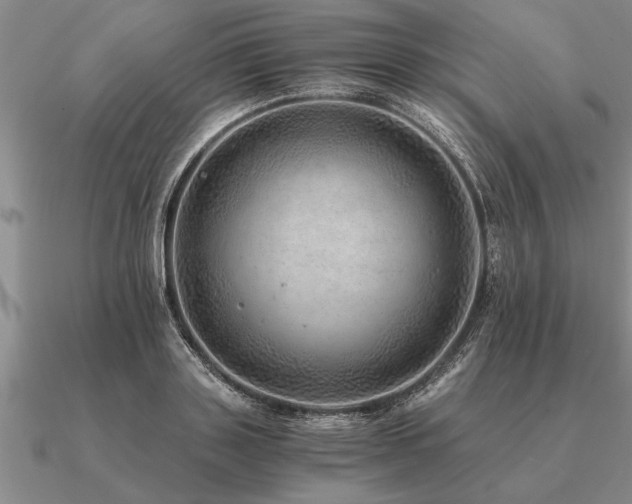 X0000091100843200708061418