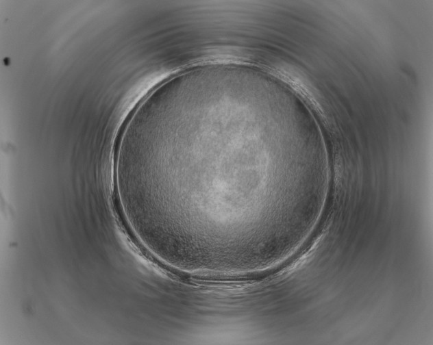 X0000091100844200708061418