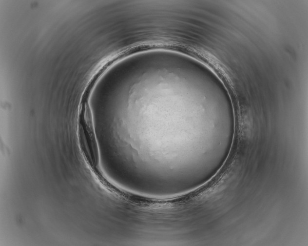 X0000091100845200708061418