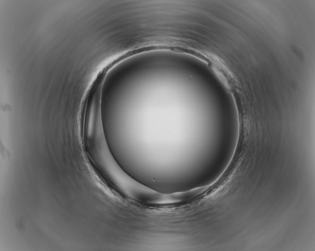 X0000091100846200708061418