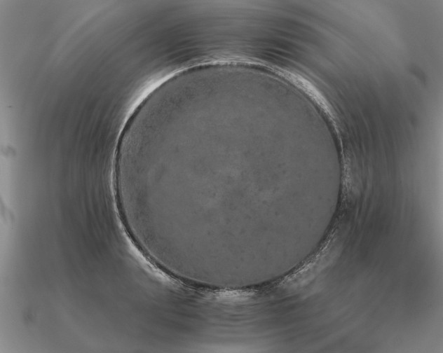 X0000091100847200708061418