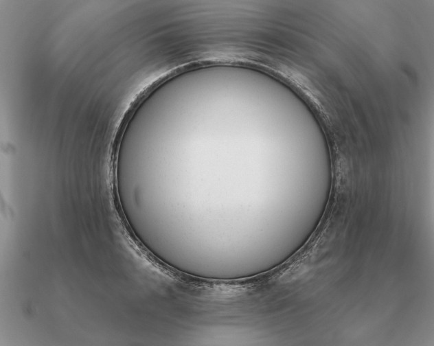 X0000091100848200708061418